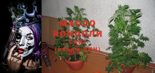 крисы Аркадак