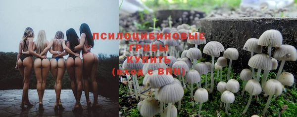 крисы Аркадак