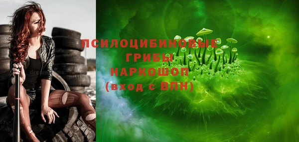 крисы Аркадак