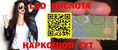 стаф Краснодар