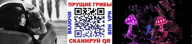 Псилоцибиновые грибы Psilocybe  Дюртюли 